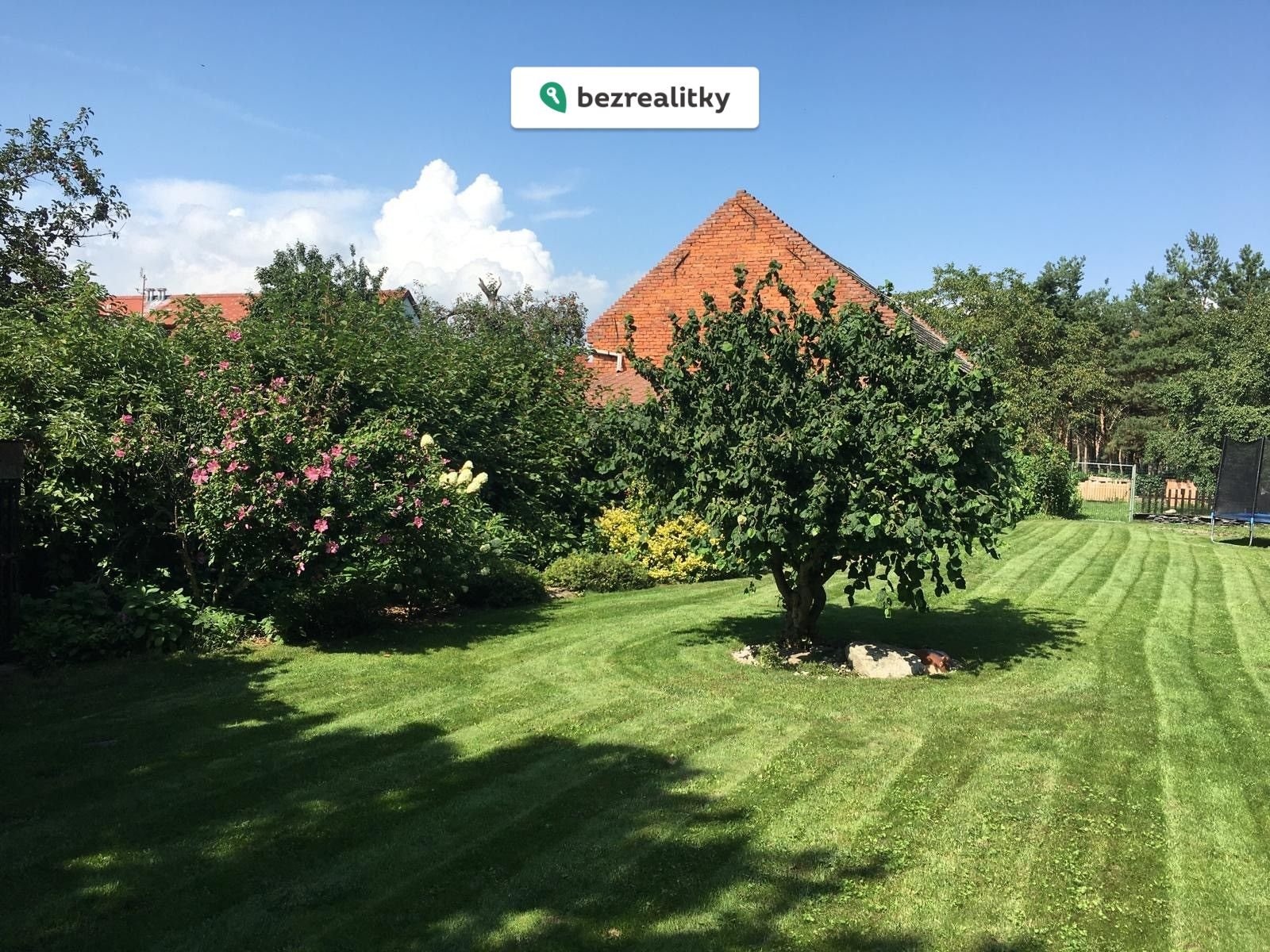 1768329204-bjmcagvosx-11