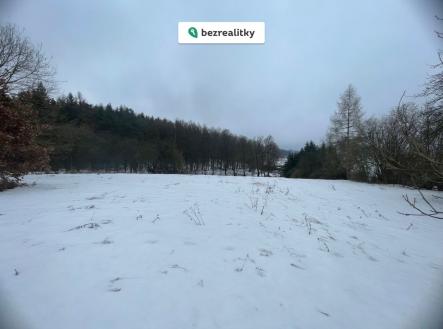 1768663533-rflaiftkai-img-5924 | Prodej - pozemek pro bydlení, 5 000 m²