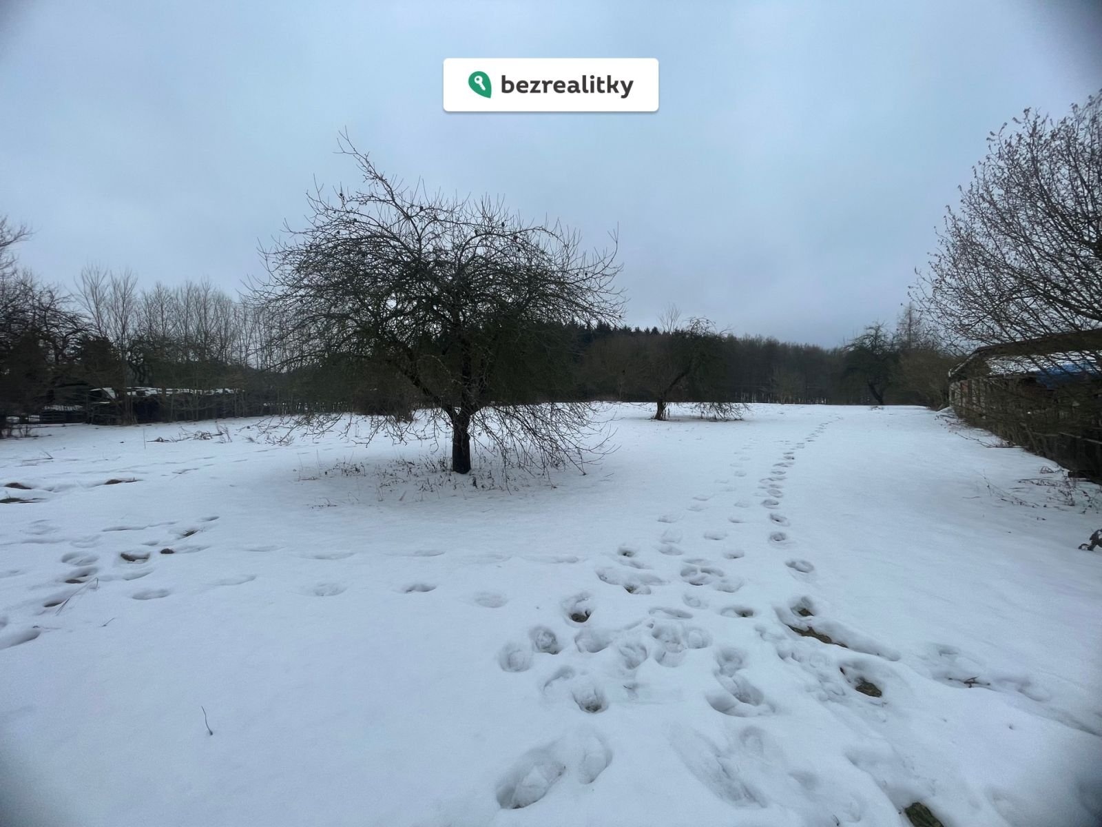 1768663615-mgthpysnic-img-5923