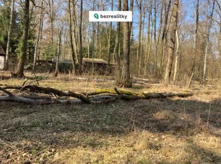 1765655562-sifsxweqkd-img-1267 | Prodej - pozemek pro bydlení, 3 660 m²