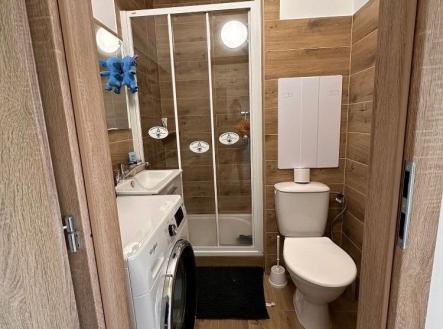 1768749914-mropapmvhd-89c10fe4-a44b-4cd3-9857-3e01c26967be | Prodej bytu, 1+kk, 21 m²