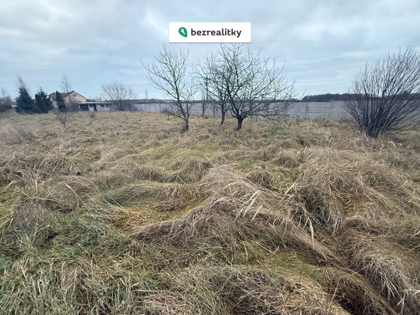 1769512109-proqyjvqys-img-0844