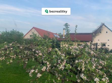 1769947650-asyvkkhzgh-24 | Prodej - dům/vila, 1 577 m²