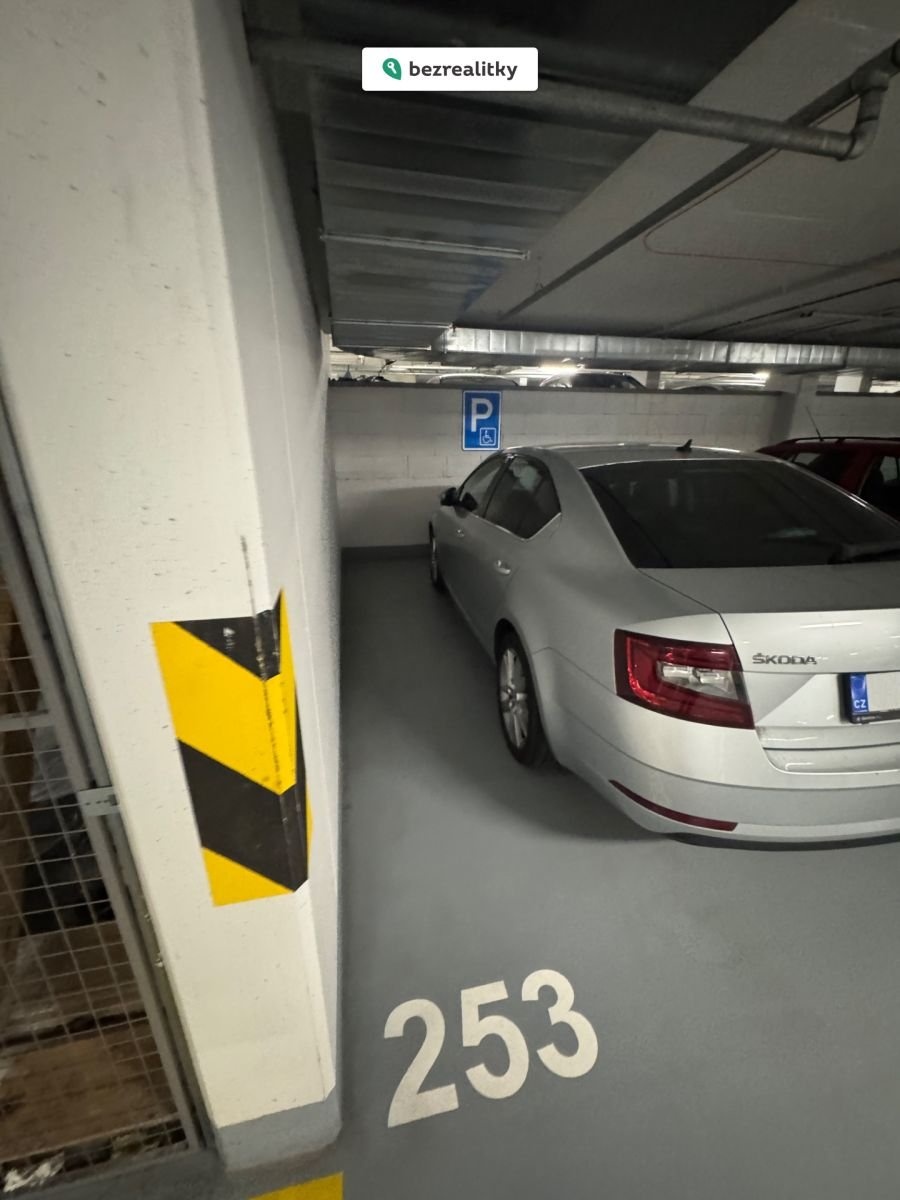 1770063391-niucqzhrpw-img-2174