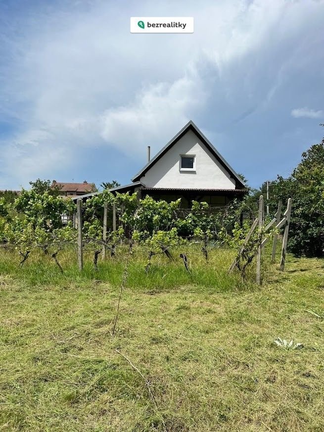 1770113625-dtpduorypp-2