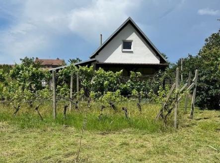 1770113625-dtpduorypp-2 | Prodej - pozemek, zahrada, 751 m²