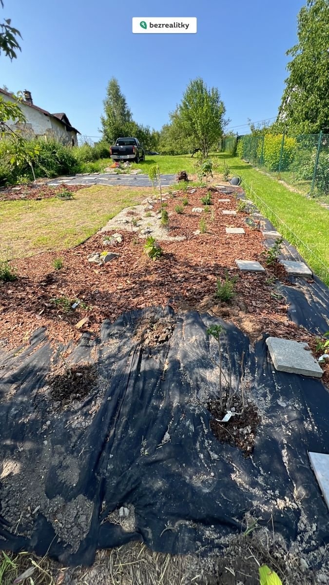 1770055968-cyxybcwfcy-000b330c-f34e-4065-af33-aa748f8b7236