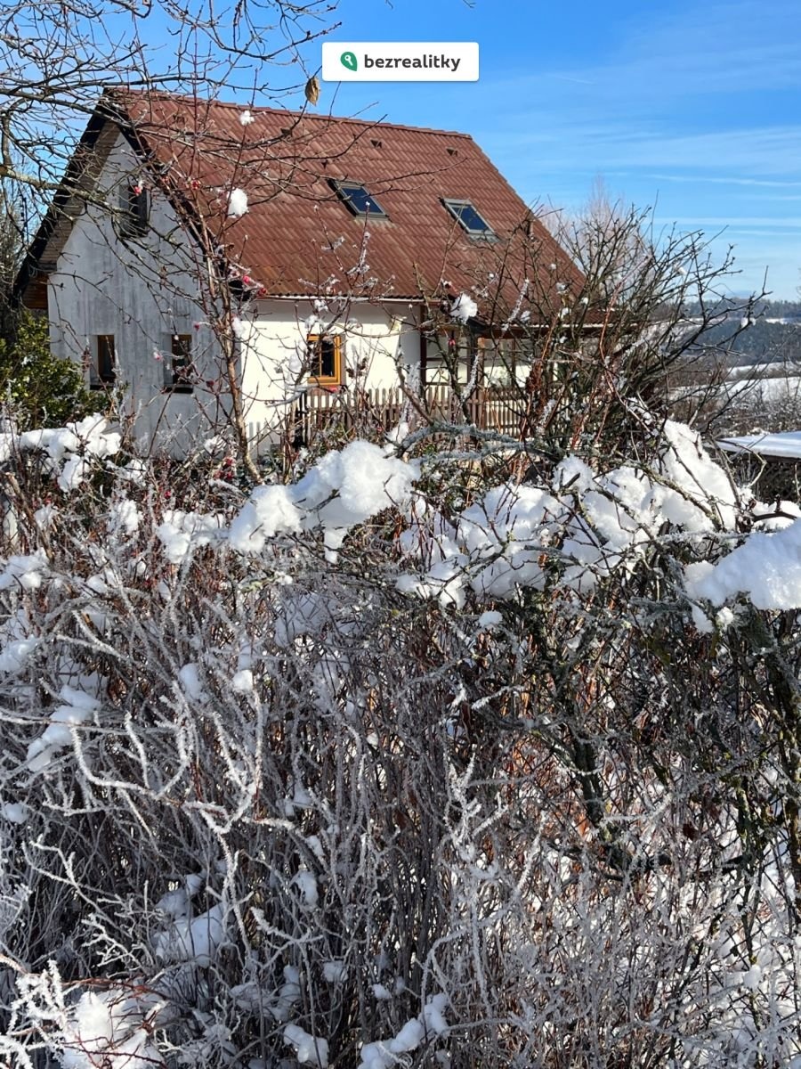 1769701497-nyctzousce-img-4823