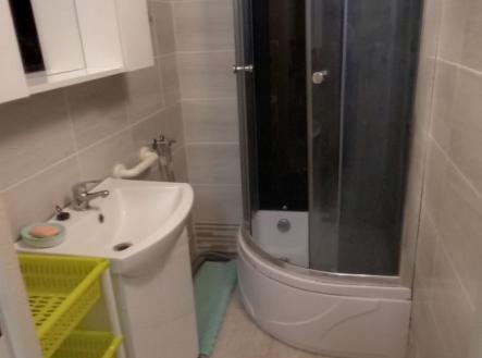 1770556913-jioeyuaepj-img-20260205-184912 | Prodej bytu, 1+1, 30 m²