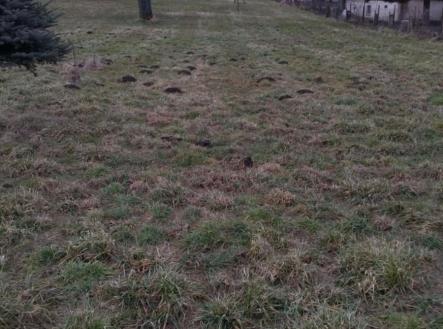 1771773698-vpidqzgvbp-7efd37b5-8de8-4527-8b29-ba01a33554ea | Prodej - pozemek pro bydlení, 1 428 m²