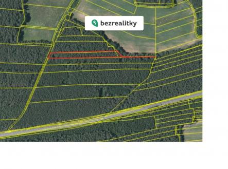 1772005562-okplolffeg-les-2 | Prodej - pozemek, les, 11 170 m²