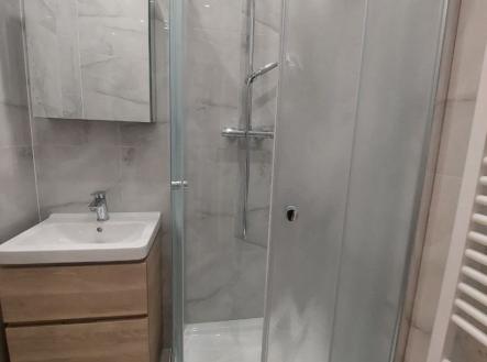 1775813455-fhasbtnspd-photo-2026-04-10-11-30-23 | Prodej bytu, 1+1, 43 m²