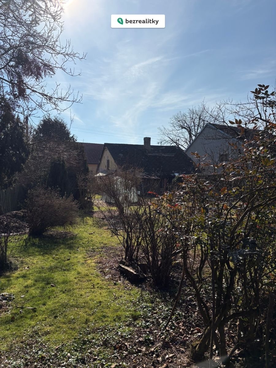1772291379-pnwbcbhrnk-zahrada-2