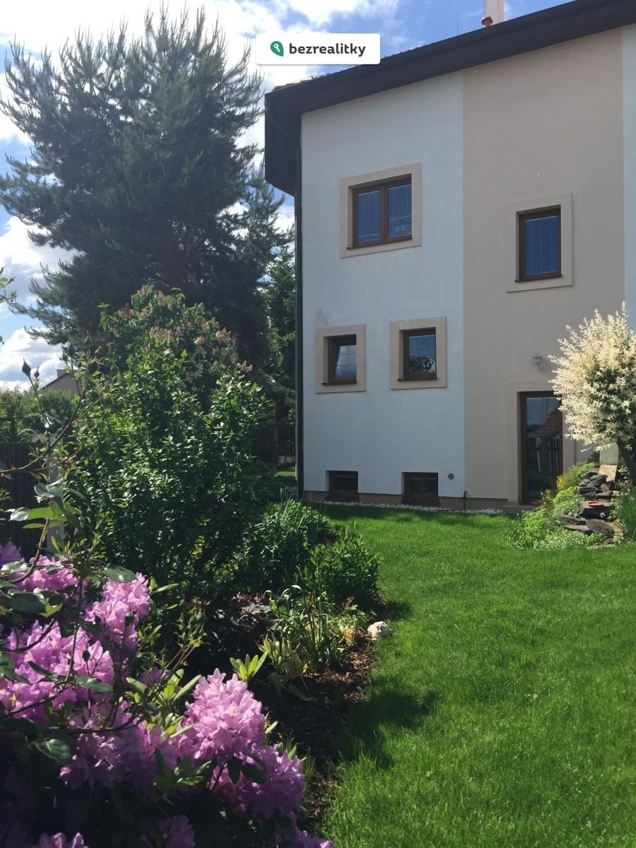 1772386320-xpvtalzfkj-foto-dum-2