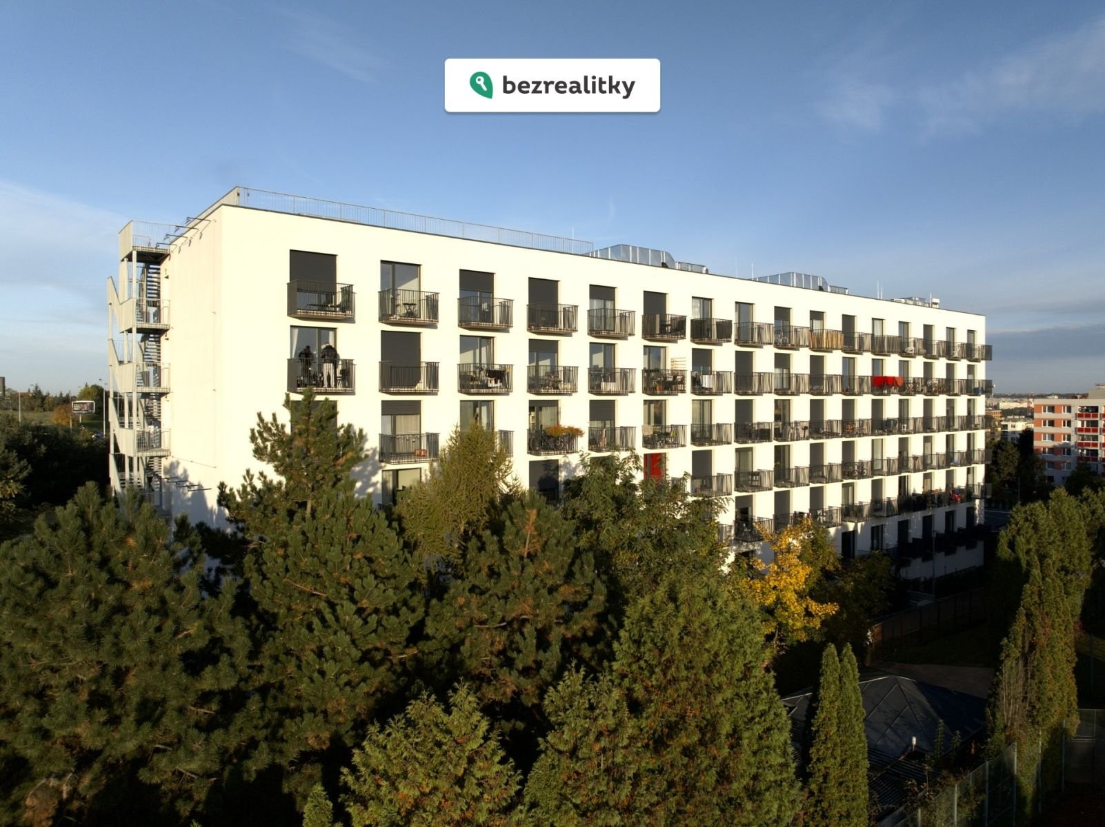 1772142616-bvwblqwwkx-1