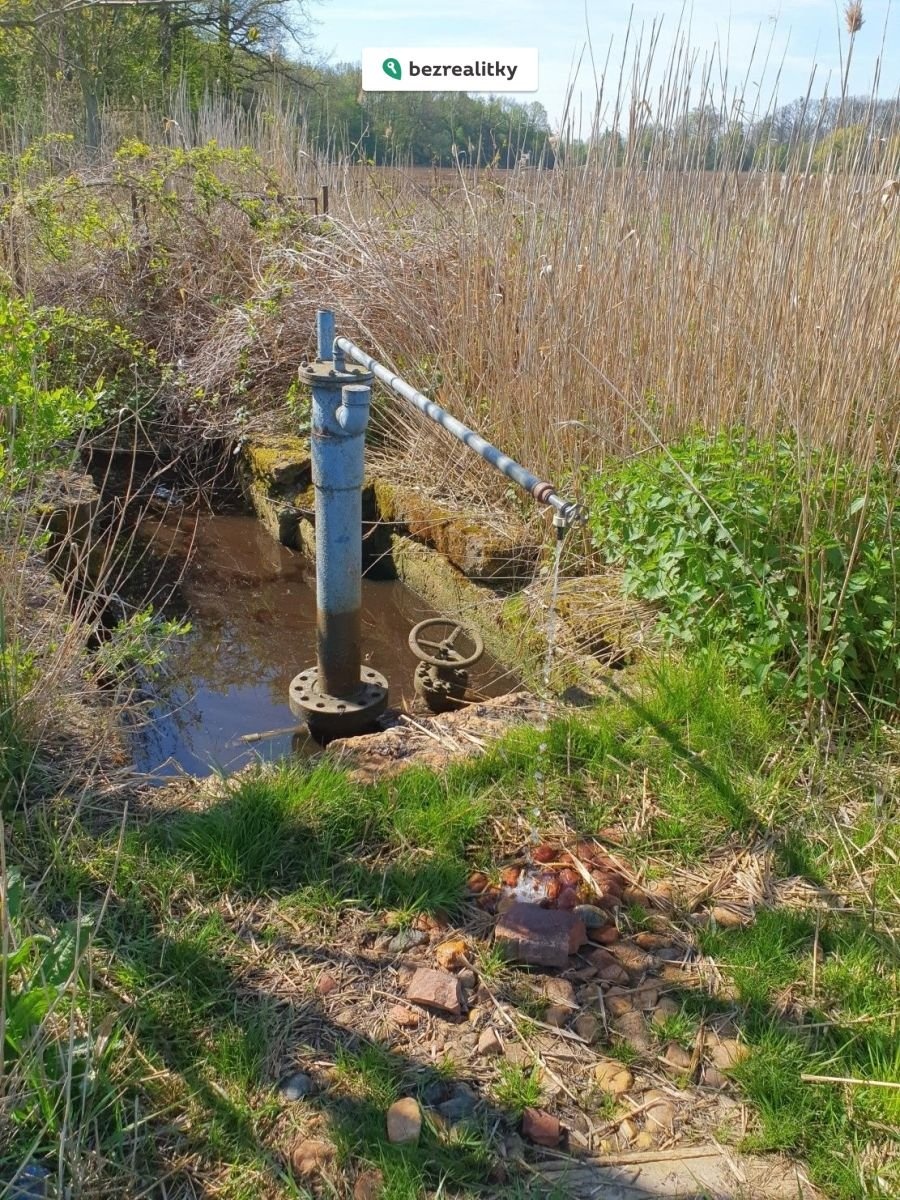 1772645962-rjttywcluh-vrt-ml-c3-a9ko-ts1772645968ts