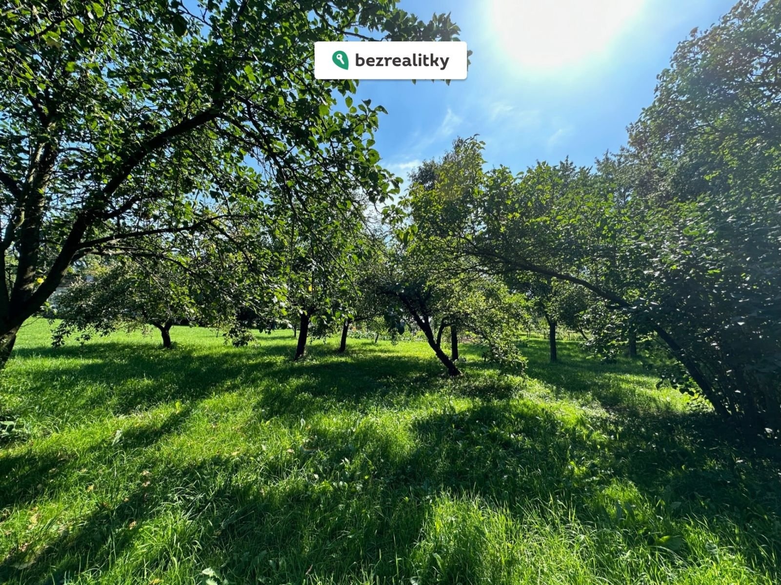 1772709426-ekloxxumyi-img-7930