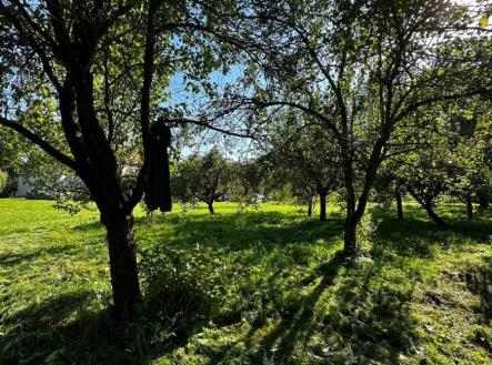 1772709426-xkcgyukbpd-img-9835 | Prodej - pozemek pro bydlení, 2 549 m²