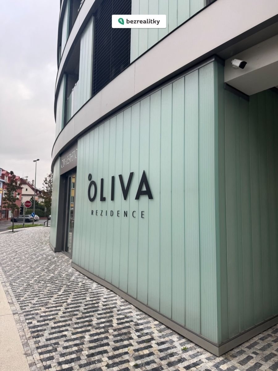 1772792791-dyifkwjgxo-img-6598