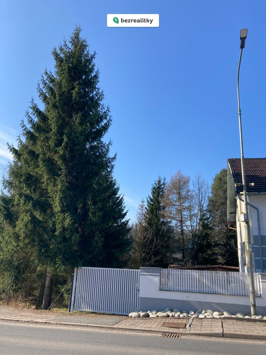 1772831646-rwzcssysww-img-8732