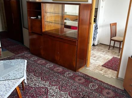 1773113312-cbpnvvebno-41569f77-64eb-4439-b556-3515cc864b2c | Prodej bytu, 1+1, 55 m²