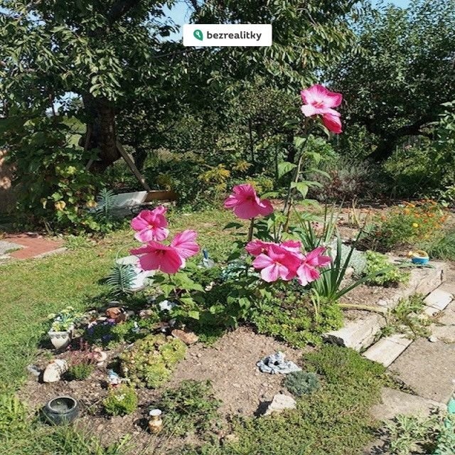 1773064088-nkvsjgphby-img-3296