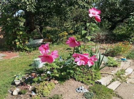 1773064088-nkvsjgphby-img-3296 | Prodej - chata/rekreační objekt, 16 m²