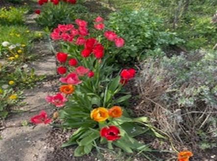 1773064148-japluyjuvs-img-1873 | Prodej - chata/rekreační objekt, 16 m²