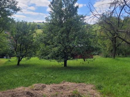 1757678239-pwkzlscjcq-20250907-123237 | Prodej - pozemek, zahrada, 1 074 m²