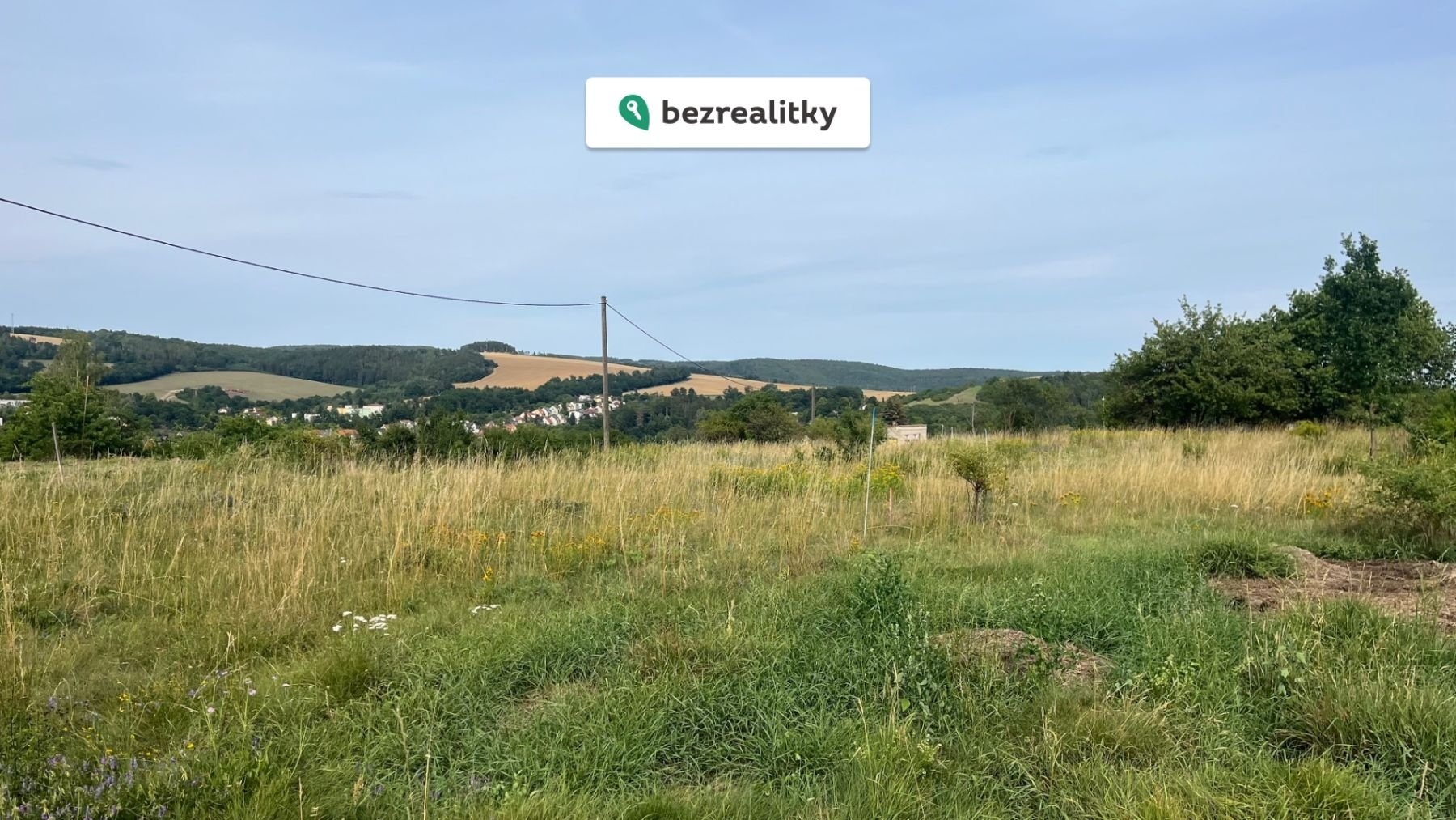 1769202731-mtaqszllcz-img-2565