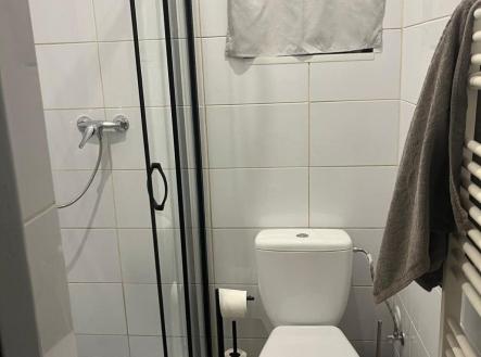1773581453-twvedwrysc-foto-koupelna | Prodej bytu, 1+1, 35 m²