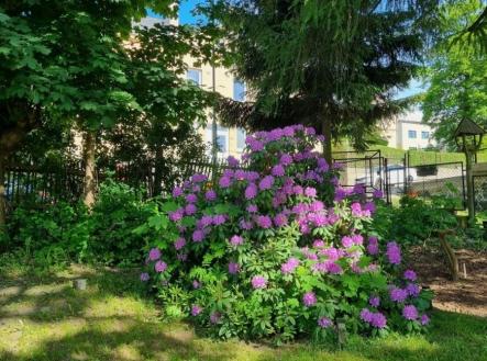 1773672819-vyxxifsfbl-19921 | Prodej - dům/vila, 154 m²