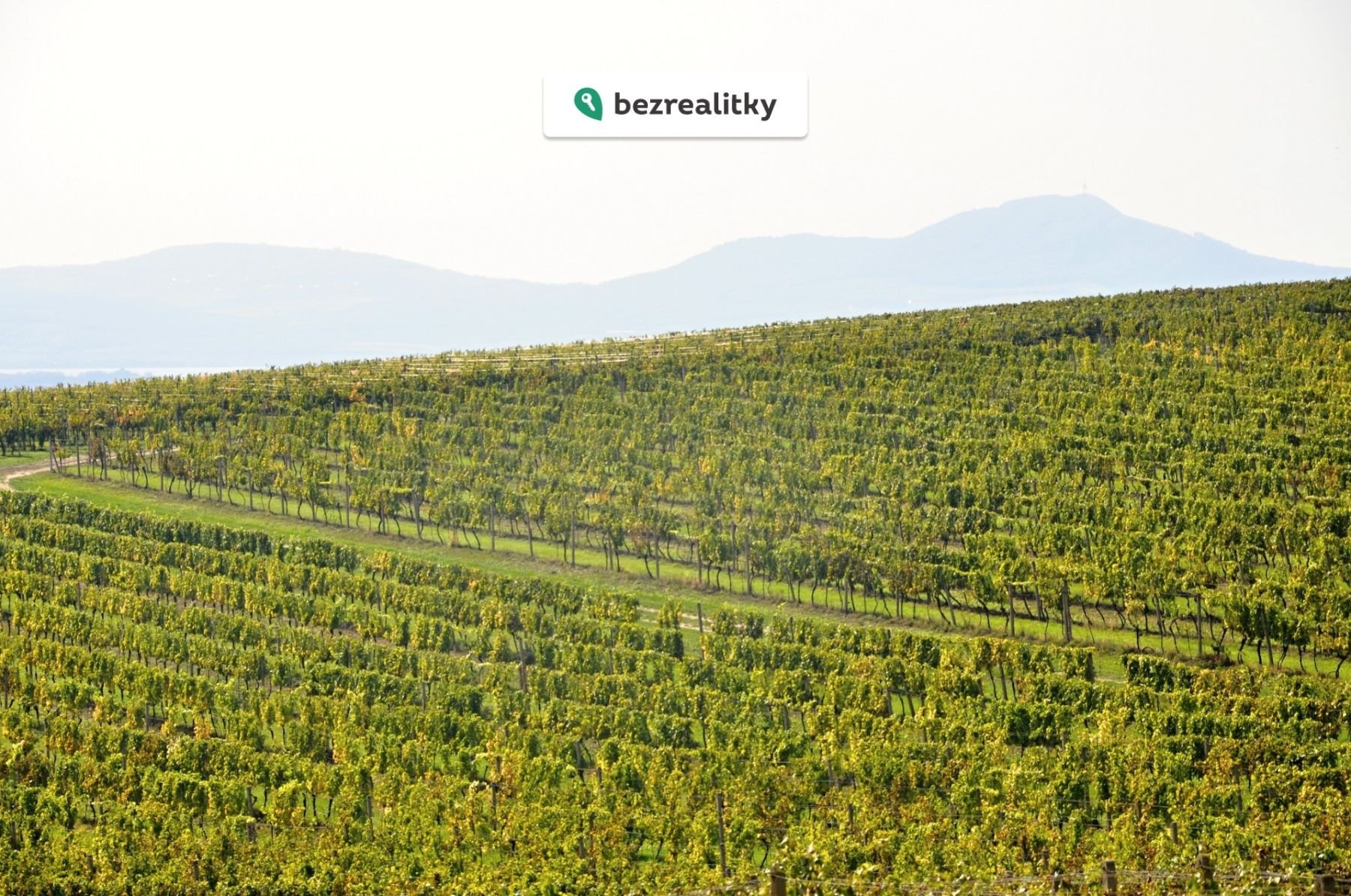 1773839924-ayjsqgxzls-dsc-0199