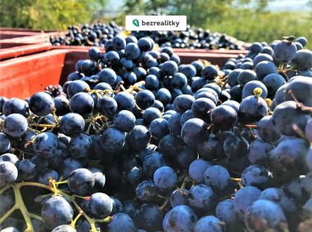 1773840034-srzlnfkxku-img-2140 | Prodej - pozemek, ostatní, 2 219 m²