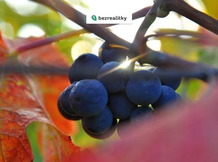 1773840135-krwvlrvgah-026 | Prodej - pozemek, ostatní, 2 219 m²