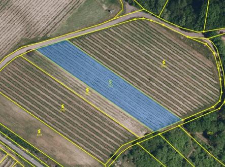 1773841499-rszbyfdvnj-vinohrad-pozemek | Prodej - pozemek, ostatní, 2 219 m²