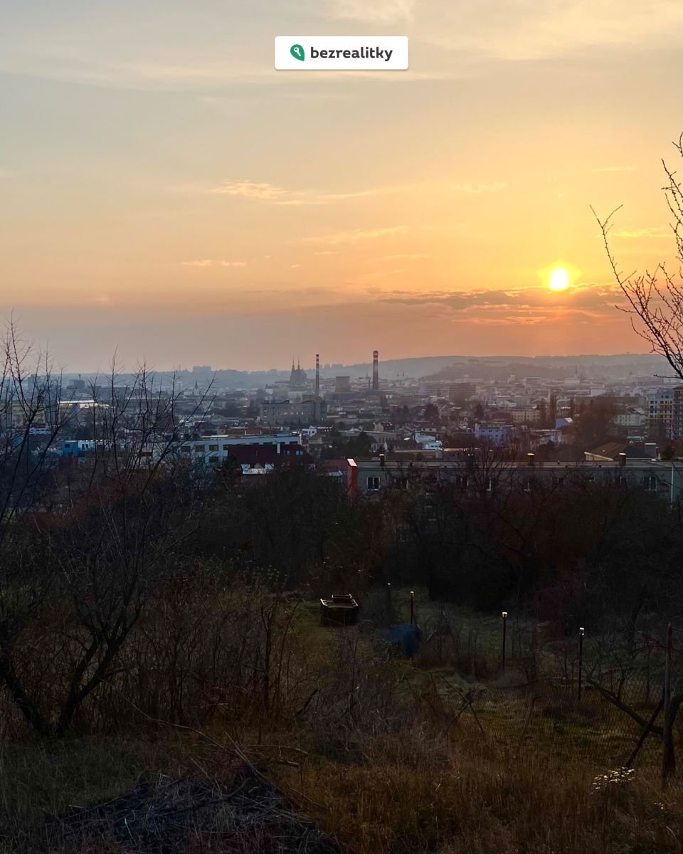 1774078246-ckihjuxuri-img-8499