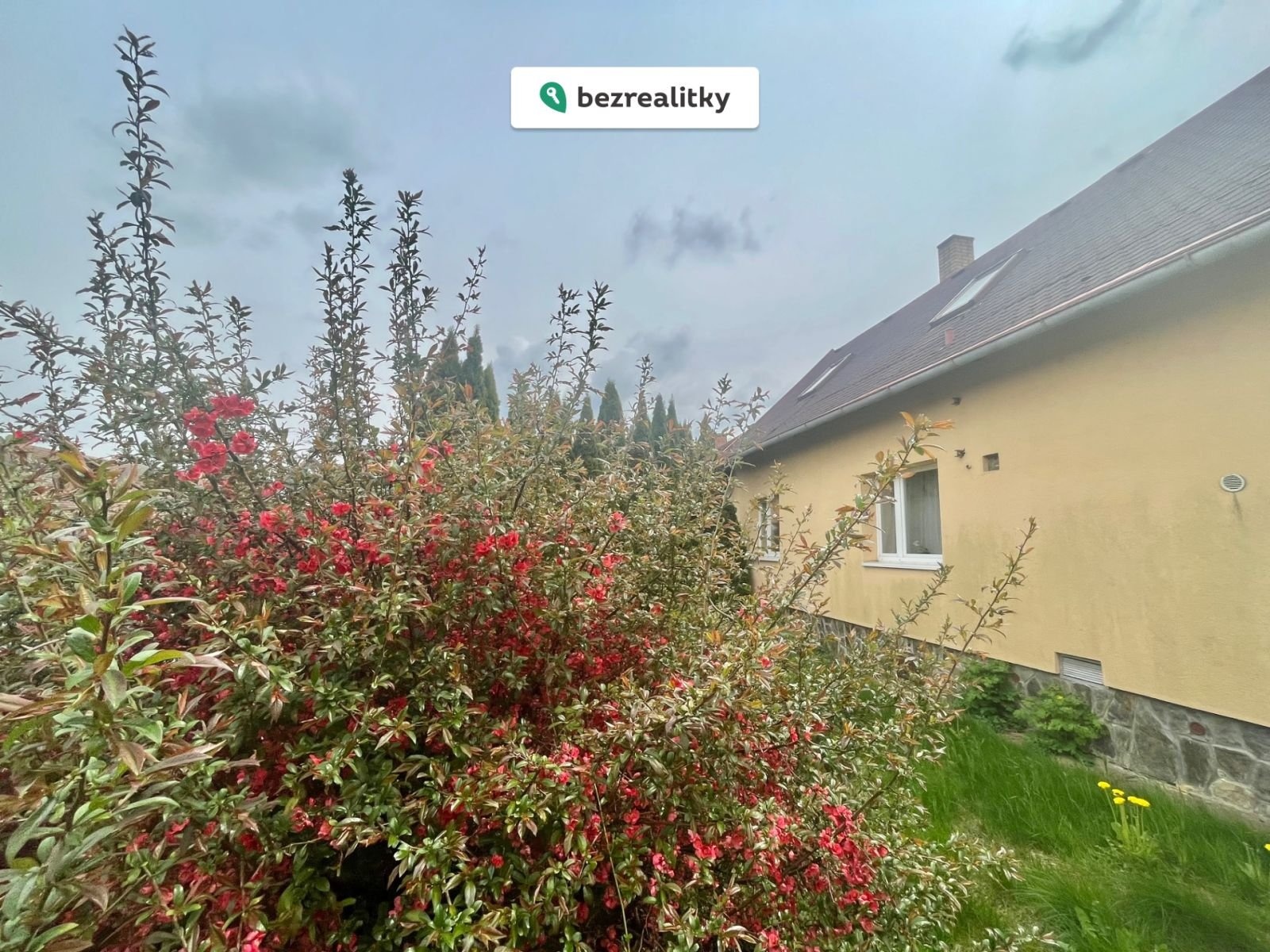 1773861782-omcowtqknw-img-0810