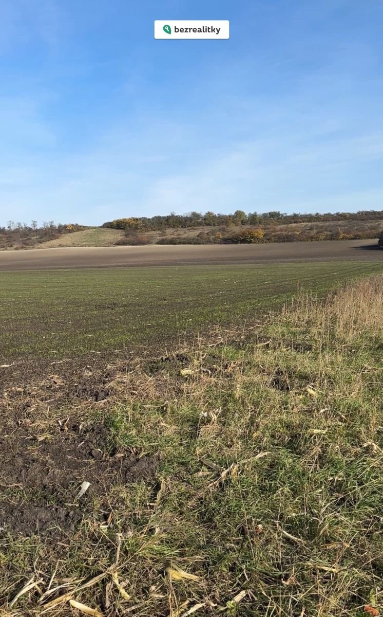 1766940345-ttmhqtowqq-img-7491