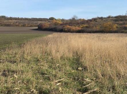 1766940345-qvpwvaipfx-img-7494 | Prodej - pozemek, zemědělská půda, 2 534 m²