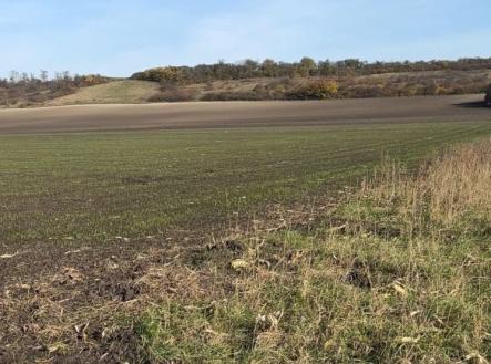 Prodej - pozemek, zemědělská půda, 2 534 m²