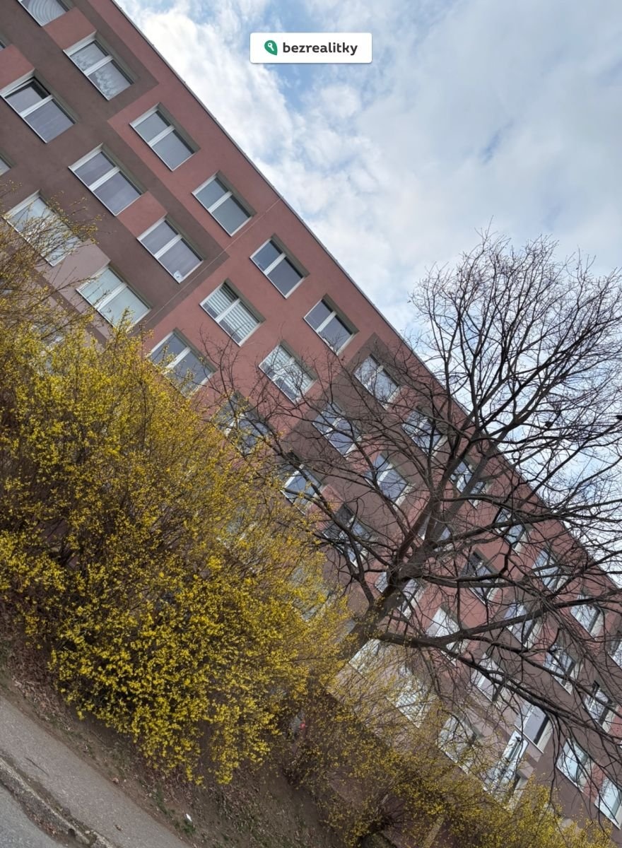 1774260796-ymupkszqkw-img-1706