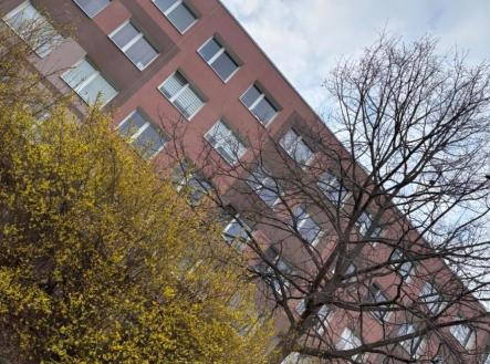 1774260796-ymupkszqkw-img-1706 | Prodej bytu, 2+kk, 42 m²