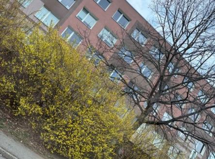 1774260796-uqhiomidqh-img-1705 | Prodej bytu, 2+kk, 42 m²