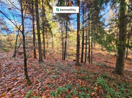 1774441567-gbnazjgqxj-113112 | Prodej - pozemek, les, 31 850 m²