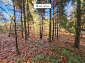 Prodej - pozemek, les, 31 850 m²