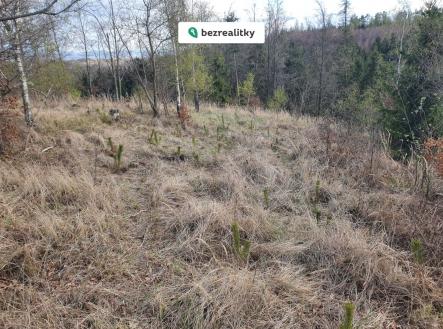 1774441678-mlmstlcgrm-20200414-175634 | Prodej - pozemek, les, 31 850 m²