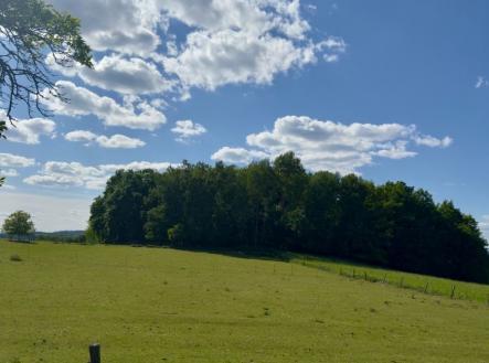 1774457029-aqptjxvinp-img-9003-2 | Prodej - pozemek pro bydlení, 1 172 m²