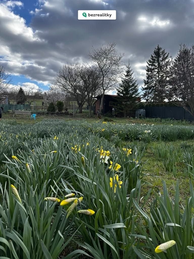 1774473666-ylvtspspff-1000022750