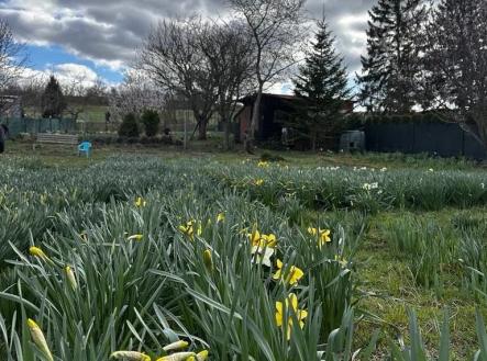 1774473666-ylvtspspff-1000022750 | Prodej - pozemek, zahrada, 888 m²